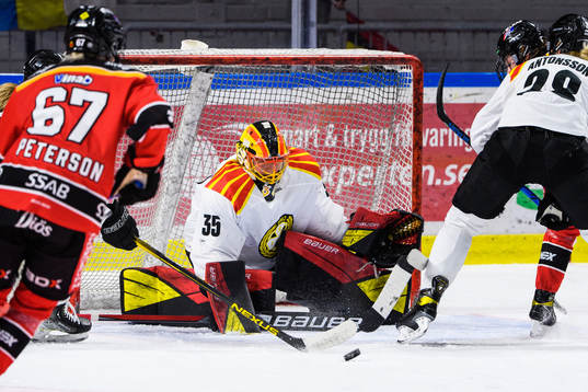 Brynäs målvakt Ellen Johnsson