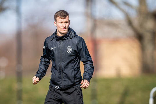 Robin Dzabic