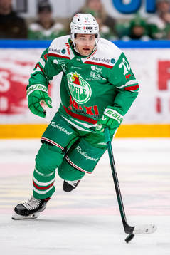 Rögles Daniel Zaar