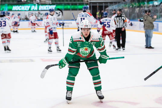 Rögles Daniel Zaar deppar