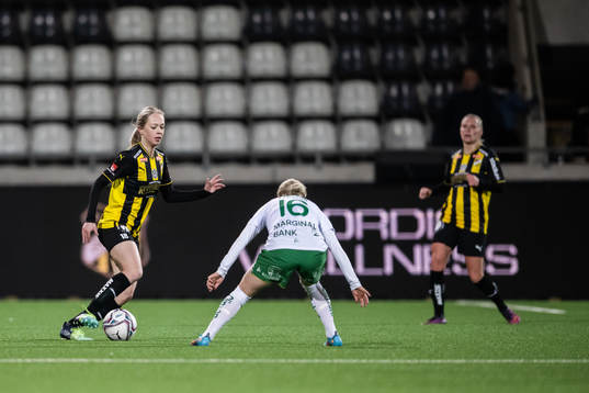 Häckens Lisa Löwing