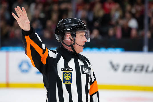 Domare Mikael Holm