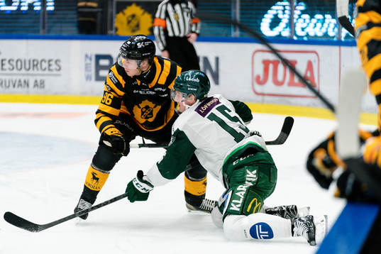 Skellefteås Rickard Hugg och Färjestads Gustav Rydahl