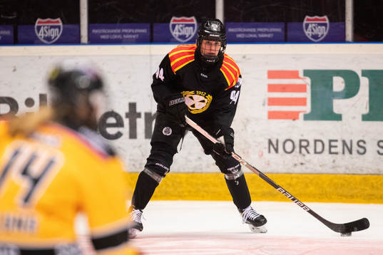 Brynäs Anna Meixner