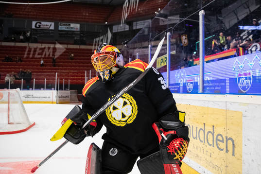Brynäs målvakt Ellen Jonsson jublar