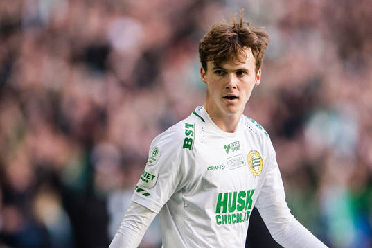 Hammarbys Williot Swedberg