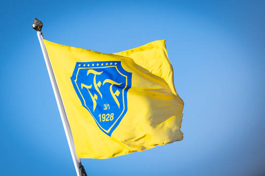 Falkenbergs flagga