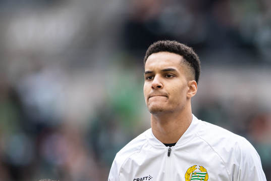Hammarbys målvakt Oliver Dovin