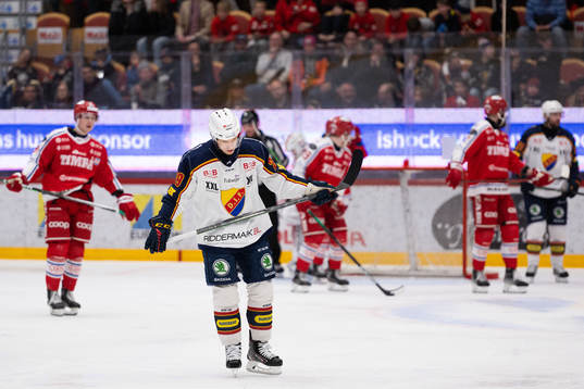 Djurgårdens Sebastian Strandberg deppar