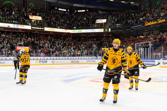 Skellefteås Adam Wilsby deppar