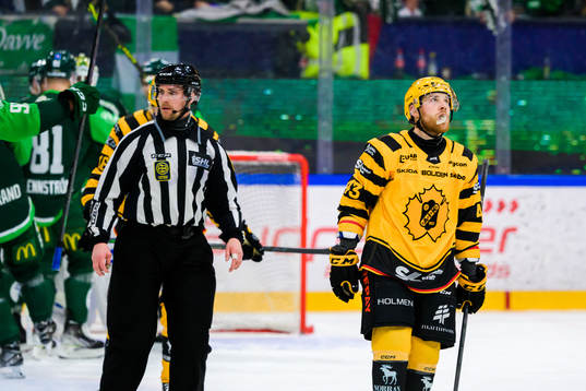 Skellefteås Filip Sandberg deppar