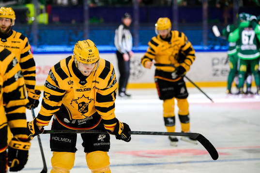 Skellefteås Stefan Loibl deppar