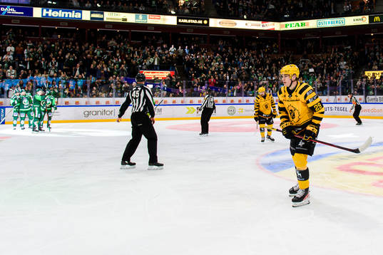Skellefteås Albin Sundsvik deppar