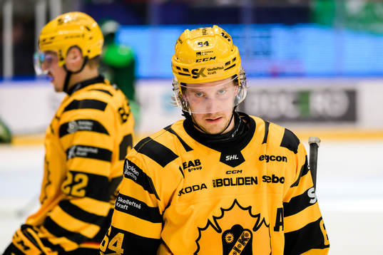 Skellefteås Jonathan Pudas deppar