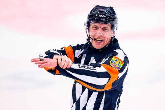 Domare Mikael Holm