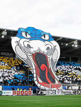 Tifo