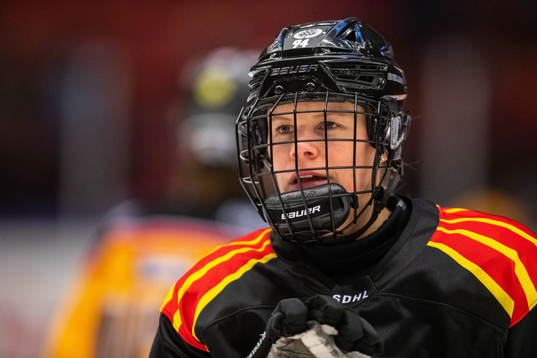 Brynäs Anna Meixner