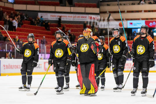 Brynäs spelare deppar