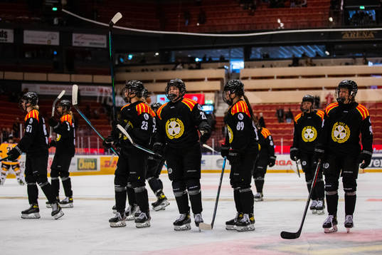 Brynäs spelare deppar