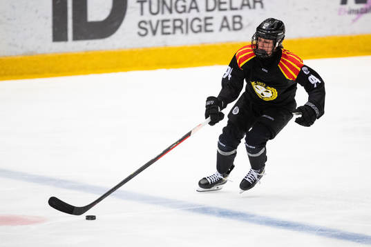 Brynäs Anna Meixner