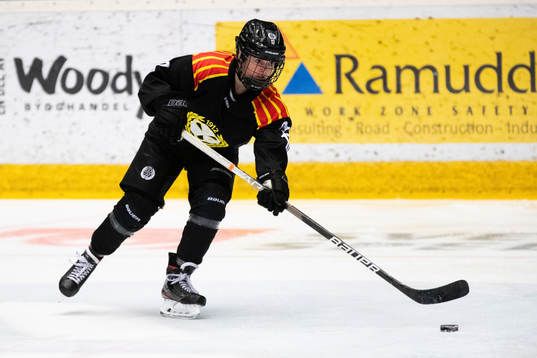 Brynäs Jaycee Gebhard