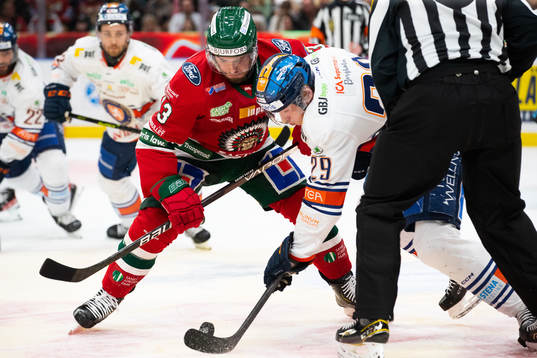 Frölundas Michael Spacek och Växjös Pontus Holmberg