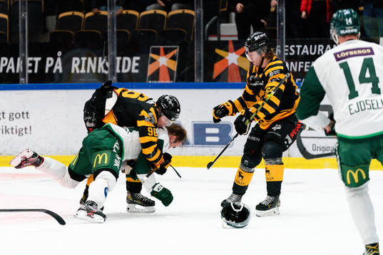 Skellefteås Rickard Hugg