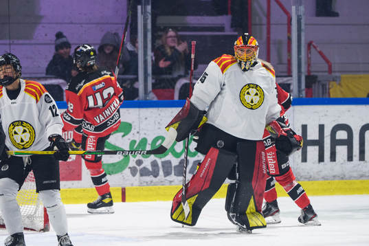 Brynäs målvakt Ellen Jonsson deppar
