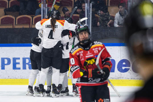 Brynäs spelare jublar