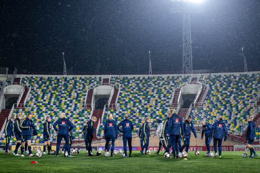 Players of the Swedish women's national football team