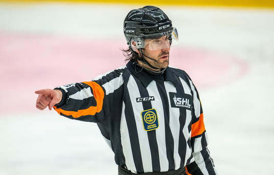 Domare Mikael Sjöqvist