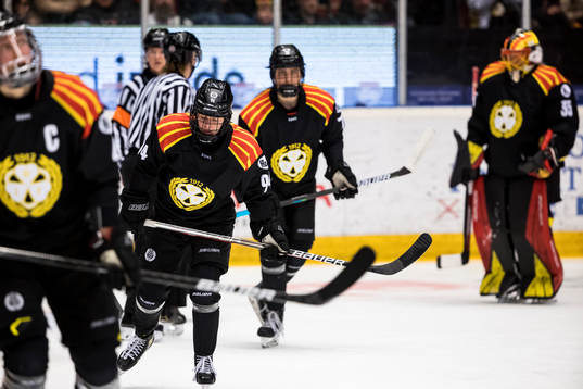Brynäs Anna Meixner deppar