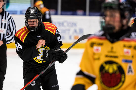 Brynäs Anna Meixner deppar