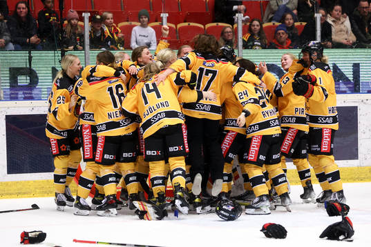 Luleås spelare jublar