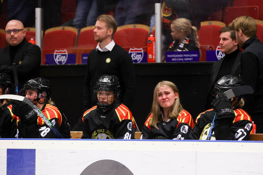 Brynäs spelare deppar