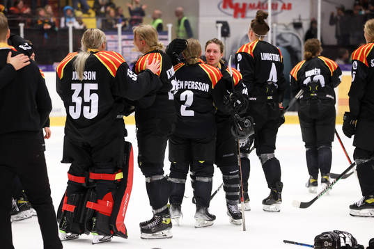 Brynäs spelare deppar