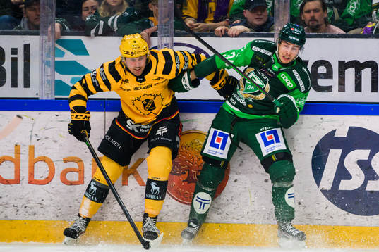Skellefteås Adam Mascherin och Färjestads Michael