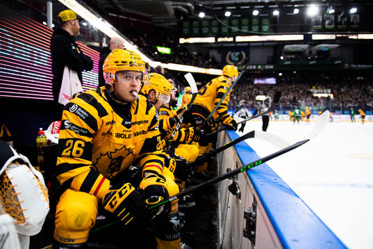 Skellefteås Simon Robertsson deppar