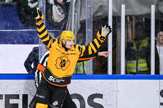 Skellefteås Jonathan Johnson jublar