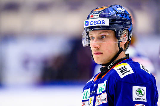 Växjös Theodor Johnsson