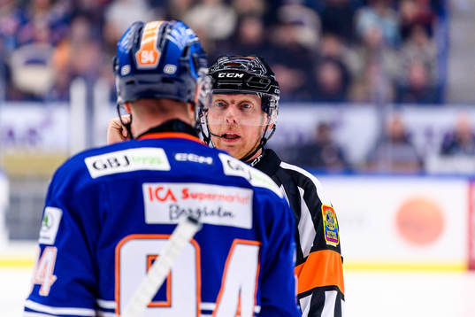 Domare Mikael Holm