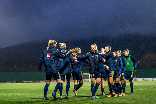 Players of Sweden