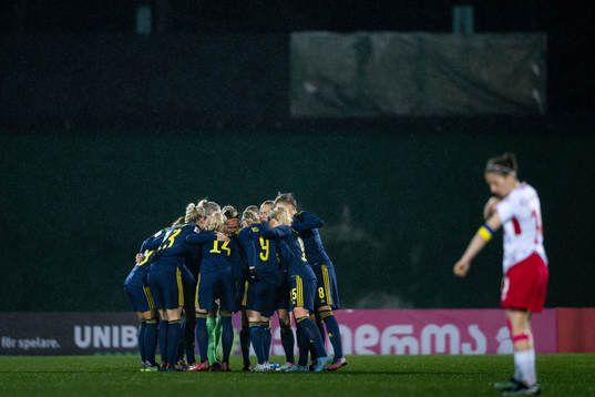 Players of Sweden