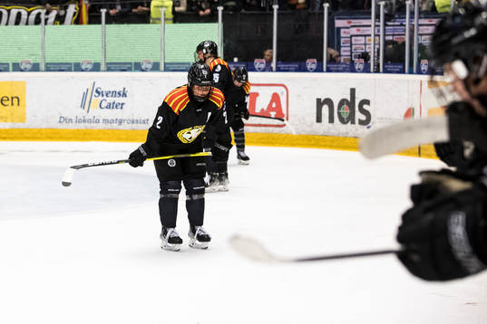 Brynäs Maja Nylén Persson   deppar