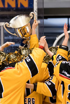 Luleå spelarna jublar