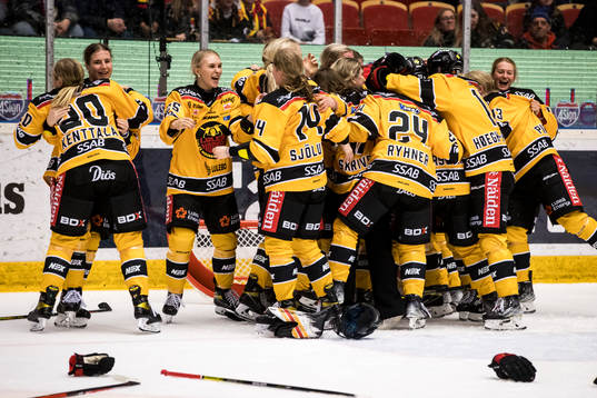 Luleå spelarna jublar