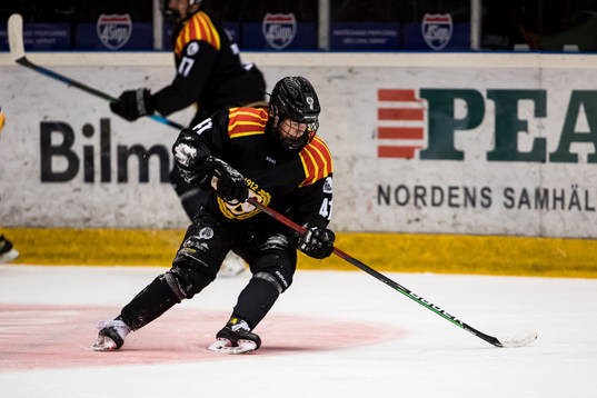 Brynäs Denisa Krizova