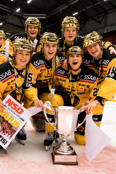 Luleå spelarna jublar