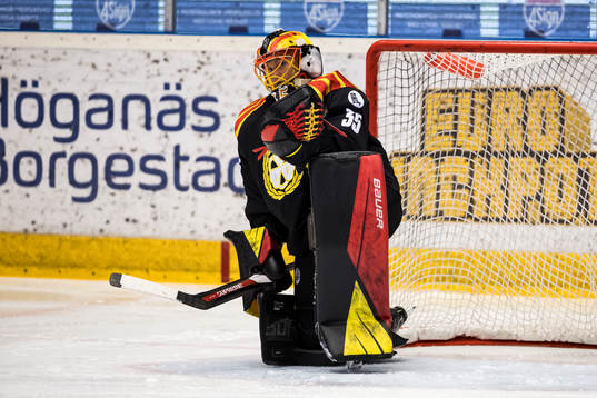 Brynäs målvakt Ellen Johnsson