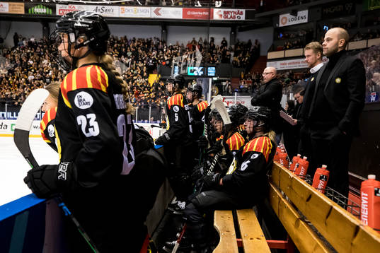 Brynäs depp